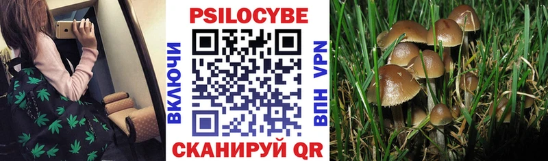 наркота Стерлитамак Галлюциногенные грибы GOLDEN TEACHER